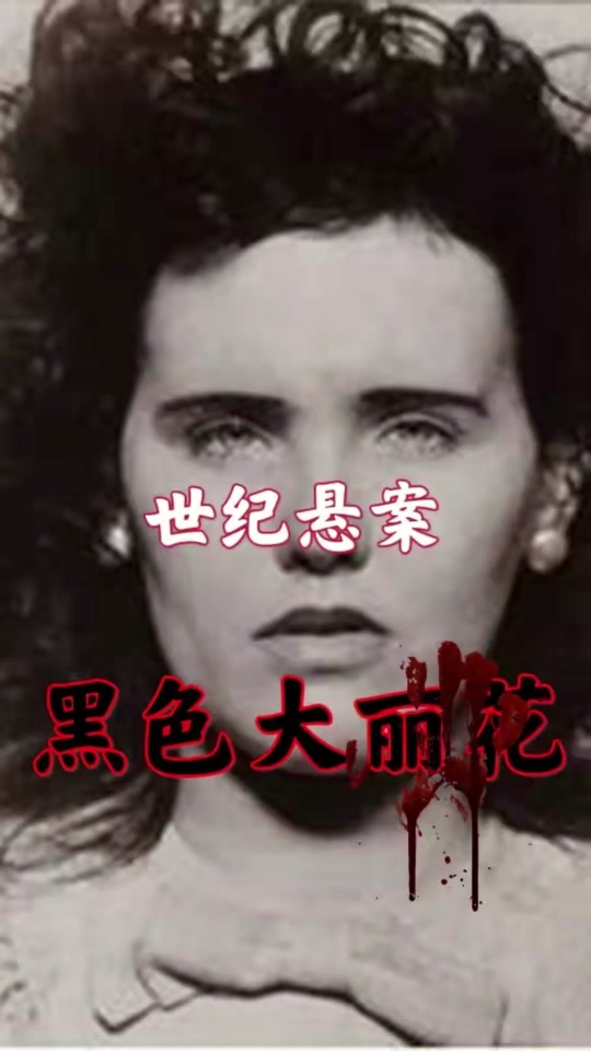 电影黑色大丽花,电影黑色大丽花剧情介绍