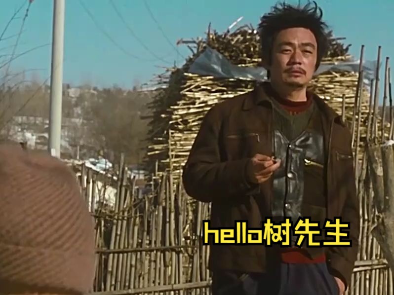 hello!树先生电影,hello树先生电影完整版
