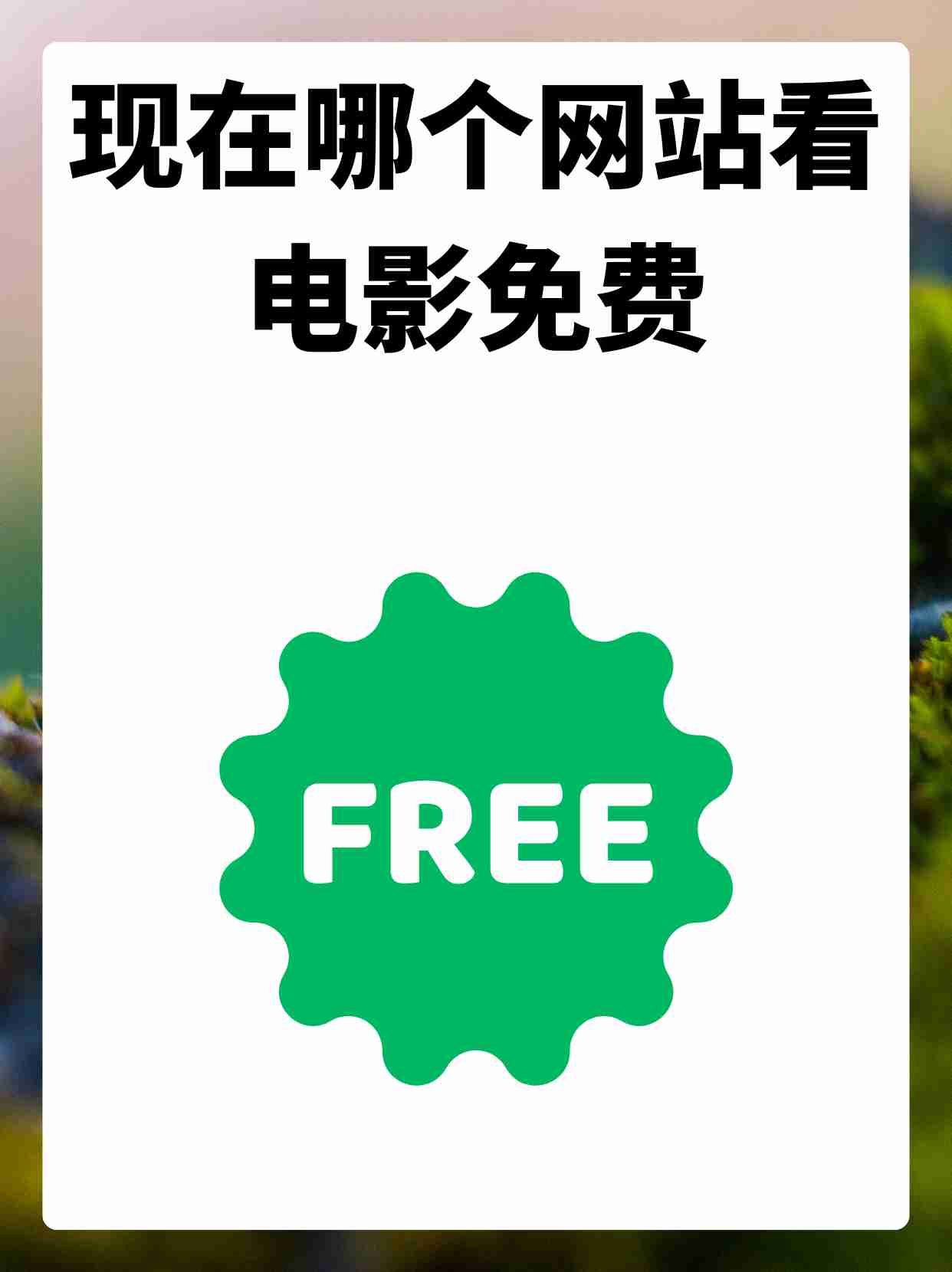 最新电影网站,免费高清电影app推荐