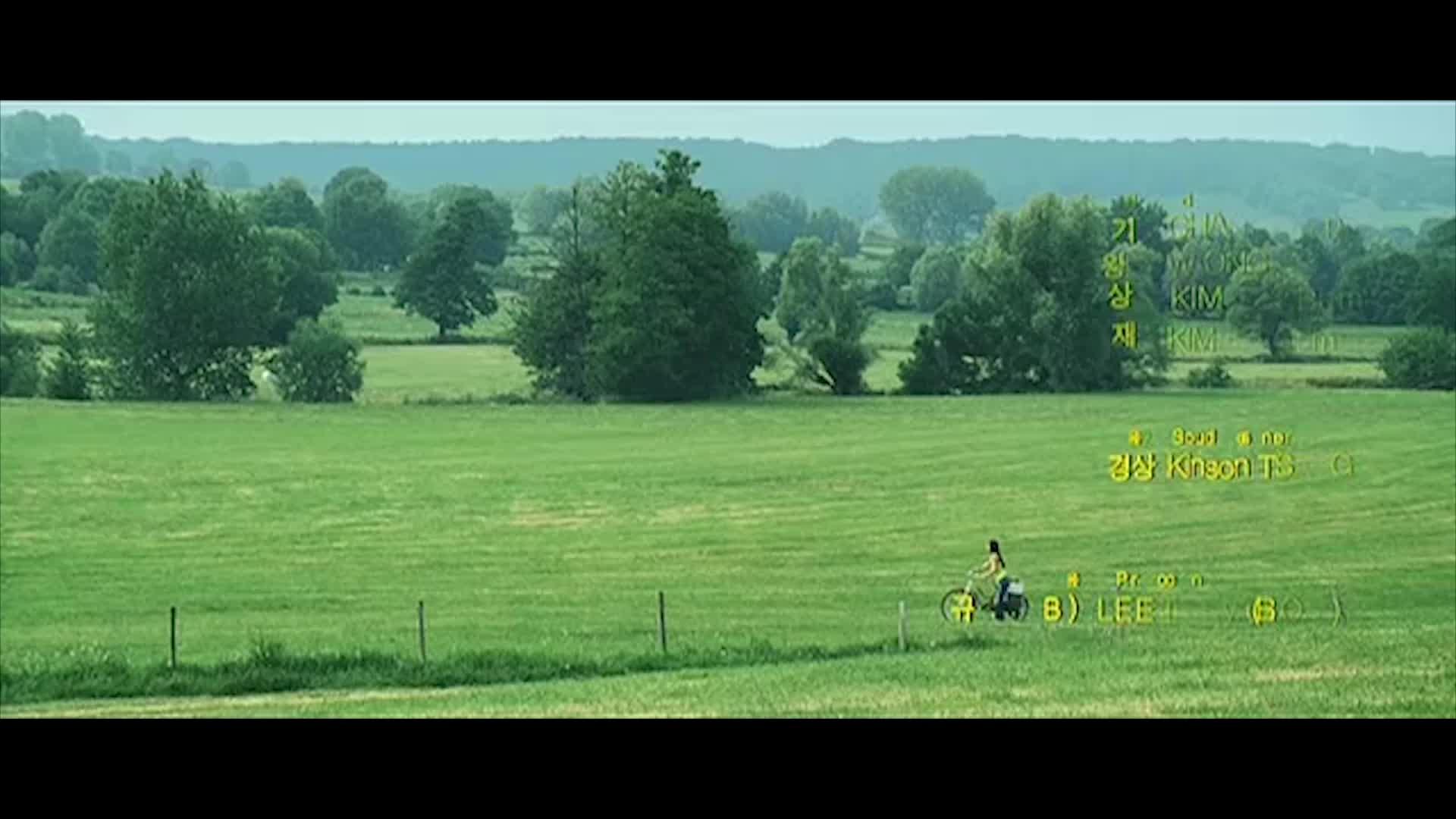 雏菊电影,雏菊电影完整版免费播放