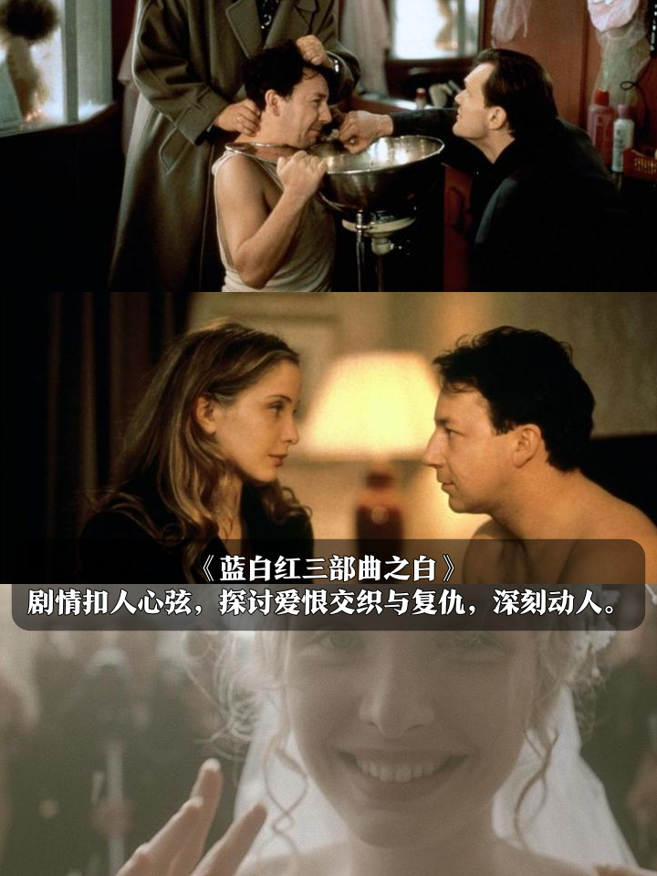 性迷宫电影1999,性迷宫电影1997法国在线播放 性迷宫电影1999,性迷宫电影1997法国在线播放