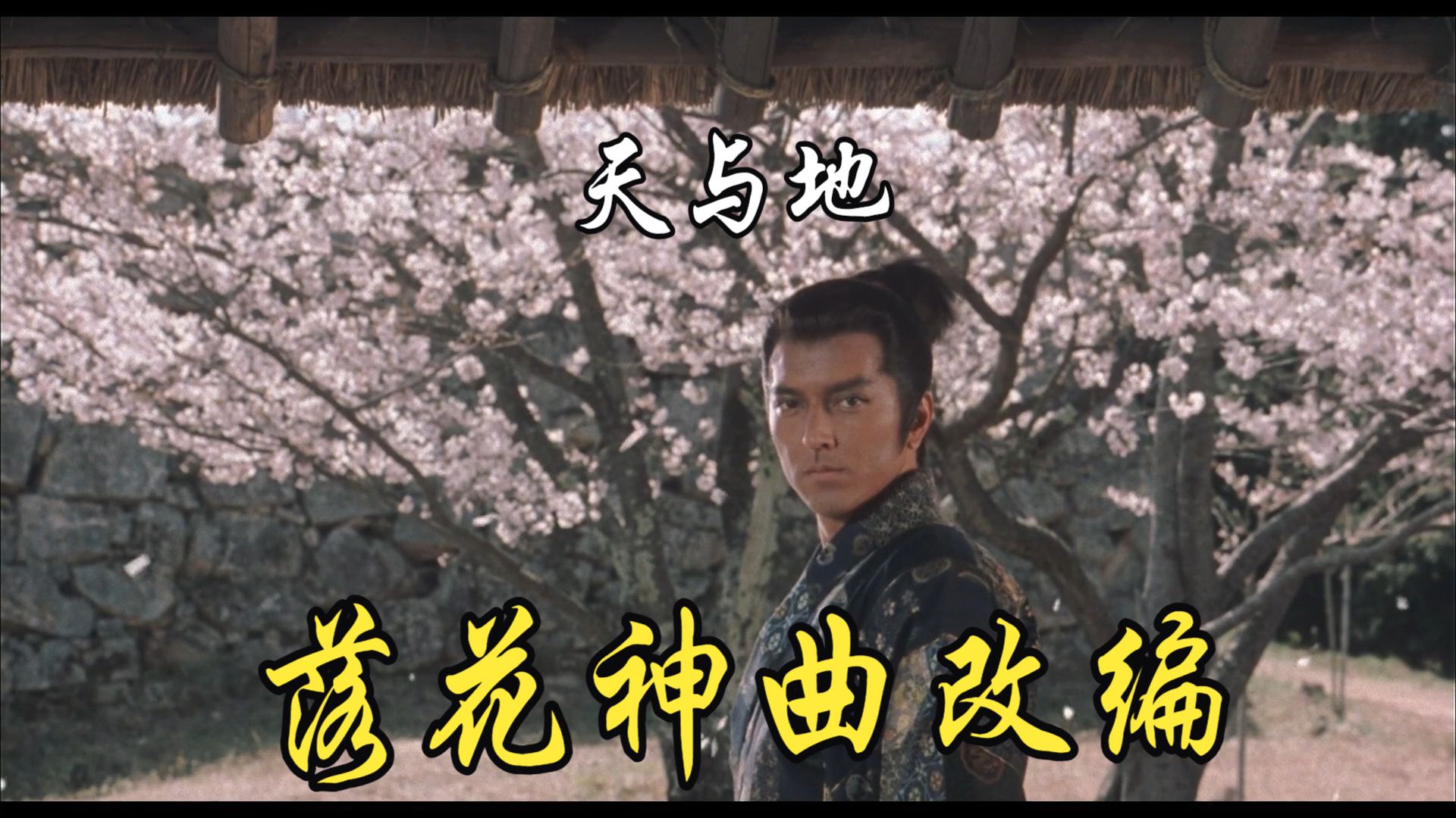 天与地电影,天与地电影剧情介绍