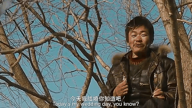 hello!树先生电影,hello树先生电影简介