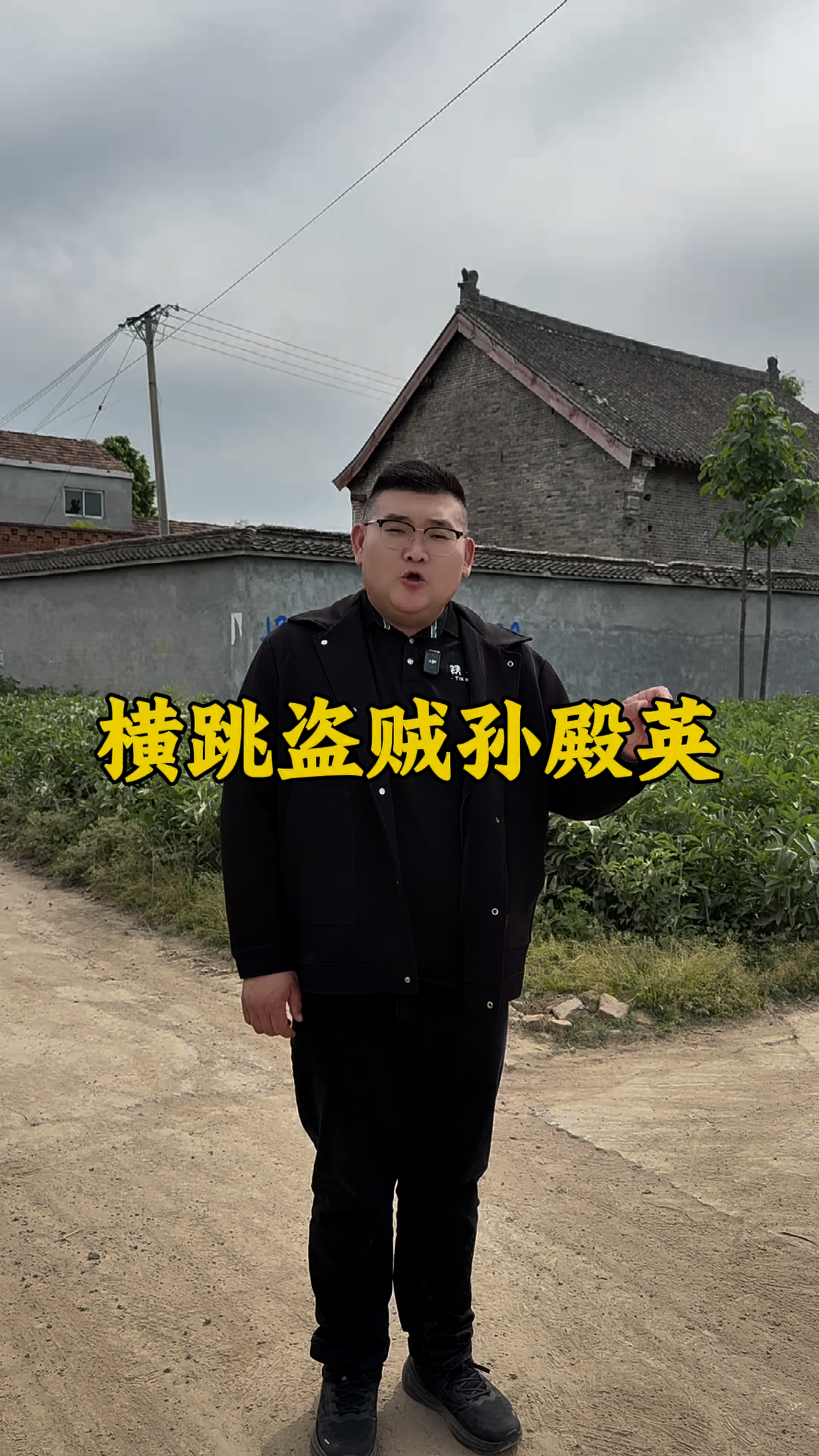 东陵大盗电影,东陵大盗老电影
