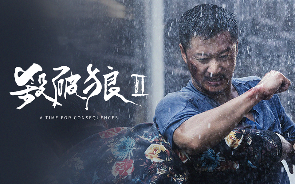 电影杀破狼,电影杀破狼2免费观看