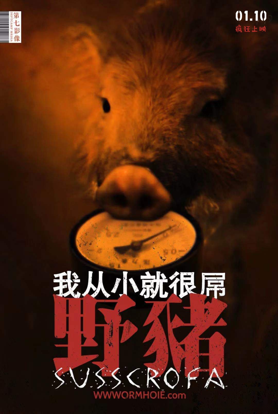闯入者电影,闯入者 电影 2015免费观看
