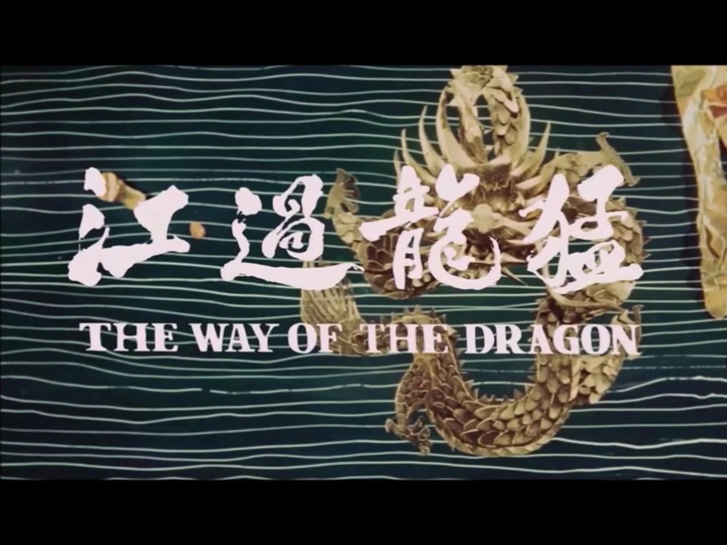 电影猛龙过江,电影猛龙过江在线观看