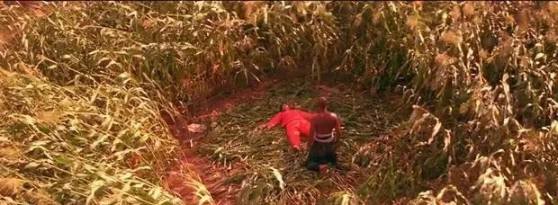红高粱电影完整版,电视剧红高粱免费观看全集 红高粱电影完整版,电视剧红高粱免费观看全集