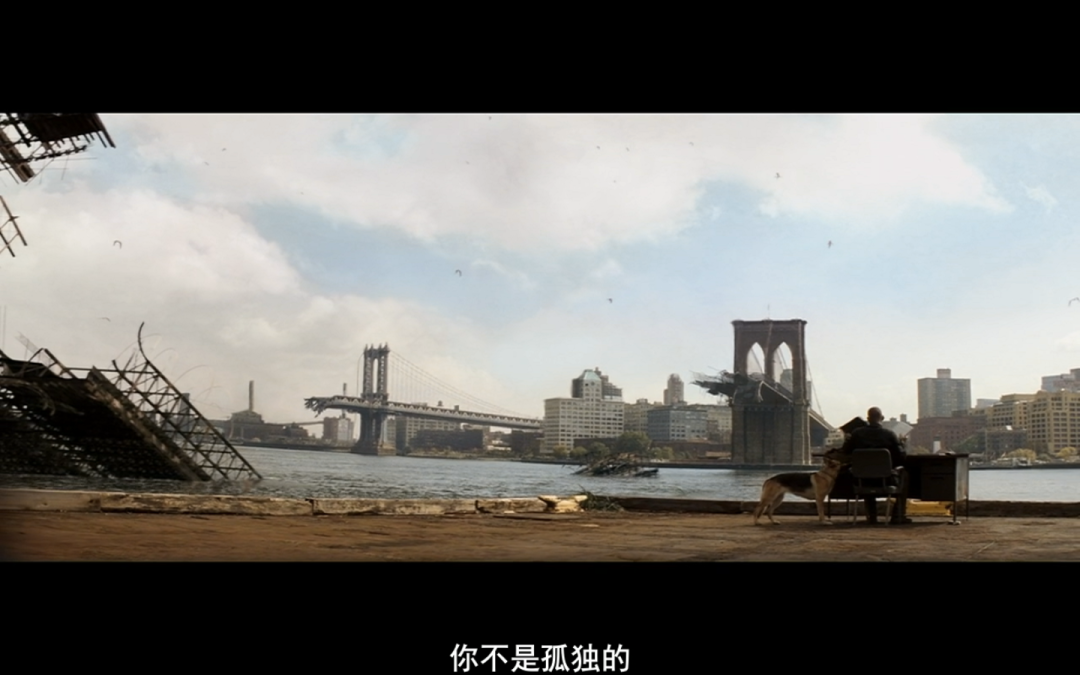 电影我是传奇,电影我是传奇在线观看