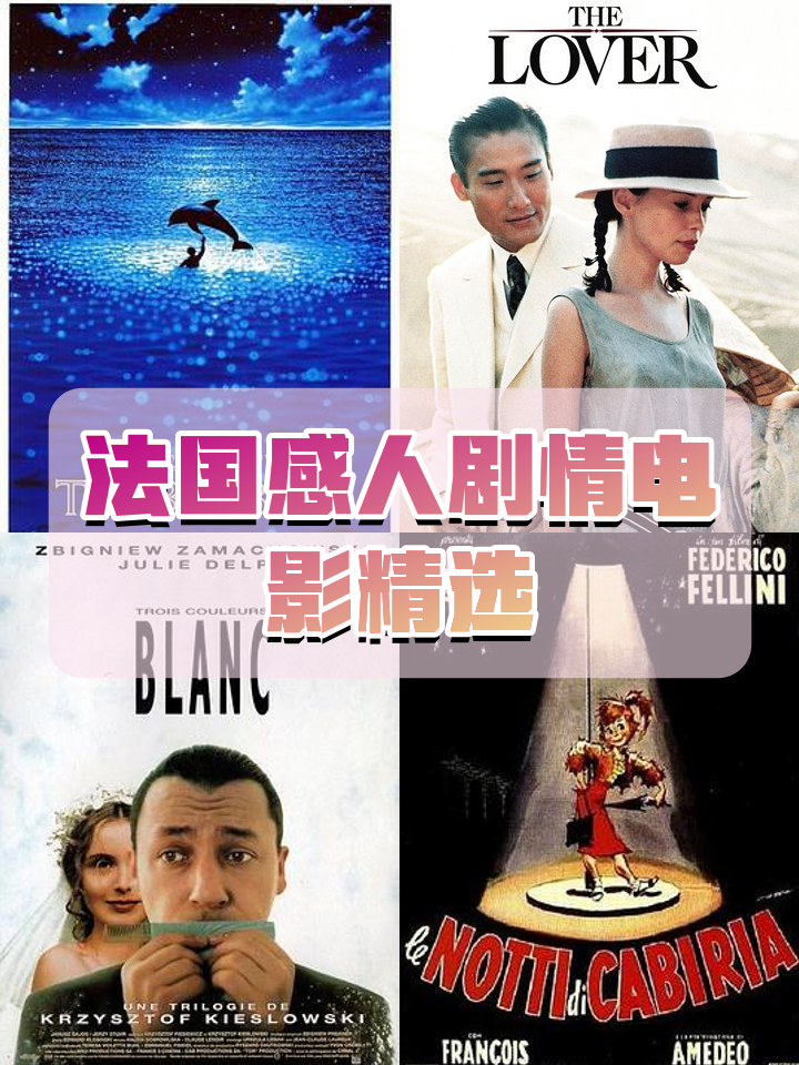爱(法国电影)完整版,爱法国电影在线观看中英文