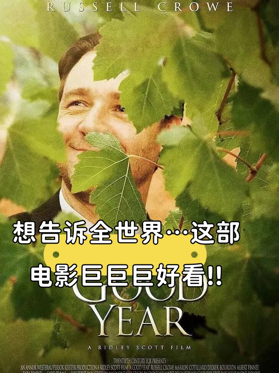 美好的一年电影,美好的一年电影下载