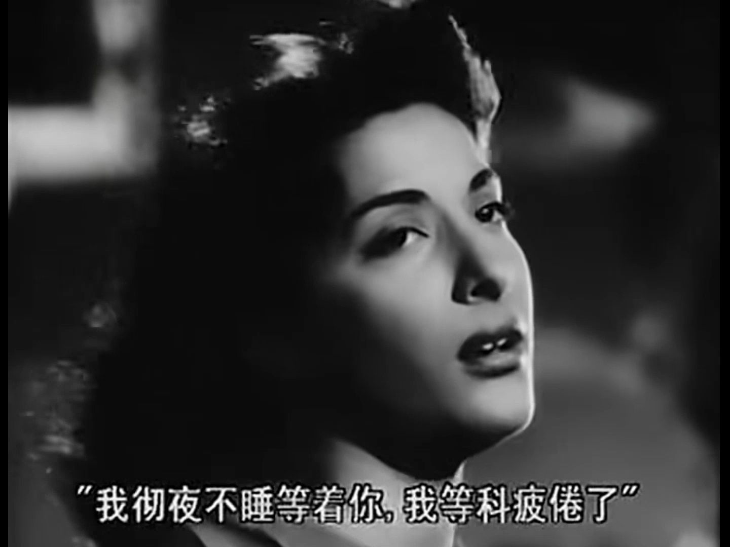 流浪者电影,流浪者电影简介