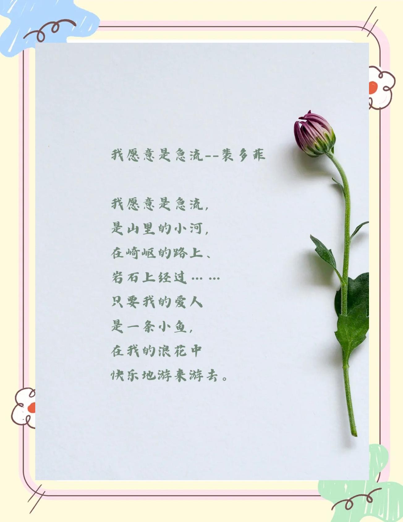 我愿意电影,我愿意电影免费观看高清版