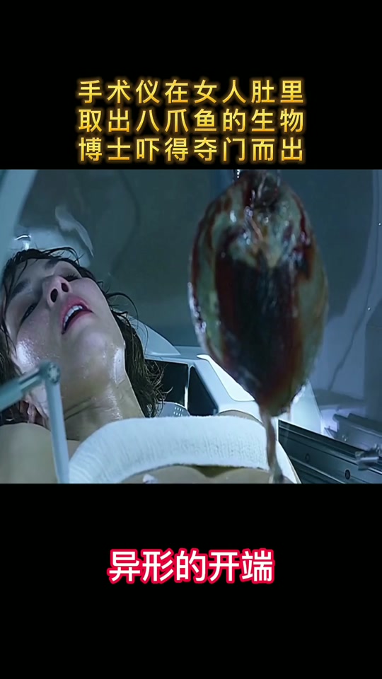 大章鱼电影免费观看,章鱼电影免费观看平台