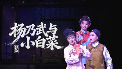 杨乃武与小白菜电影,杨乃武与小白菜电影戏曲电影