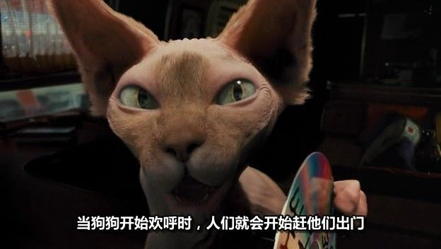 猫狗大战电影下载,猫狗大战2国语版下载