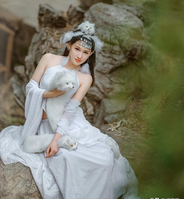 白狐电影在线观看,白狐电影在线观看无删减