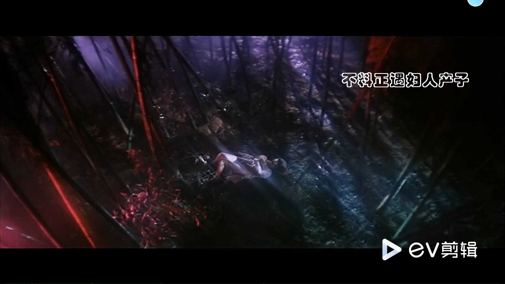 青蛇电影,青蛇电影主题曲