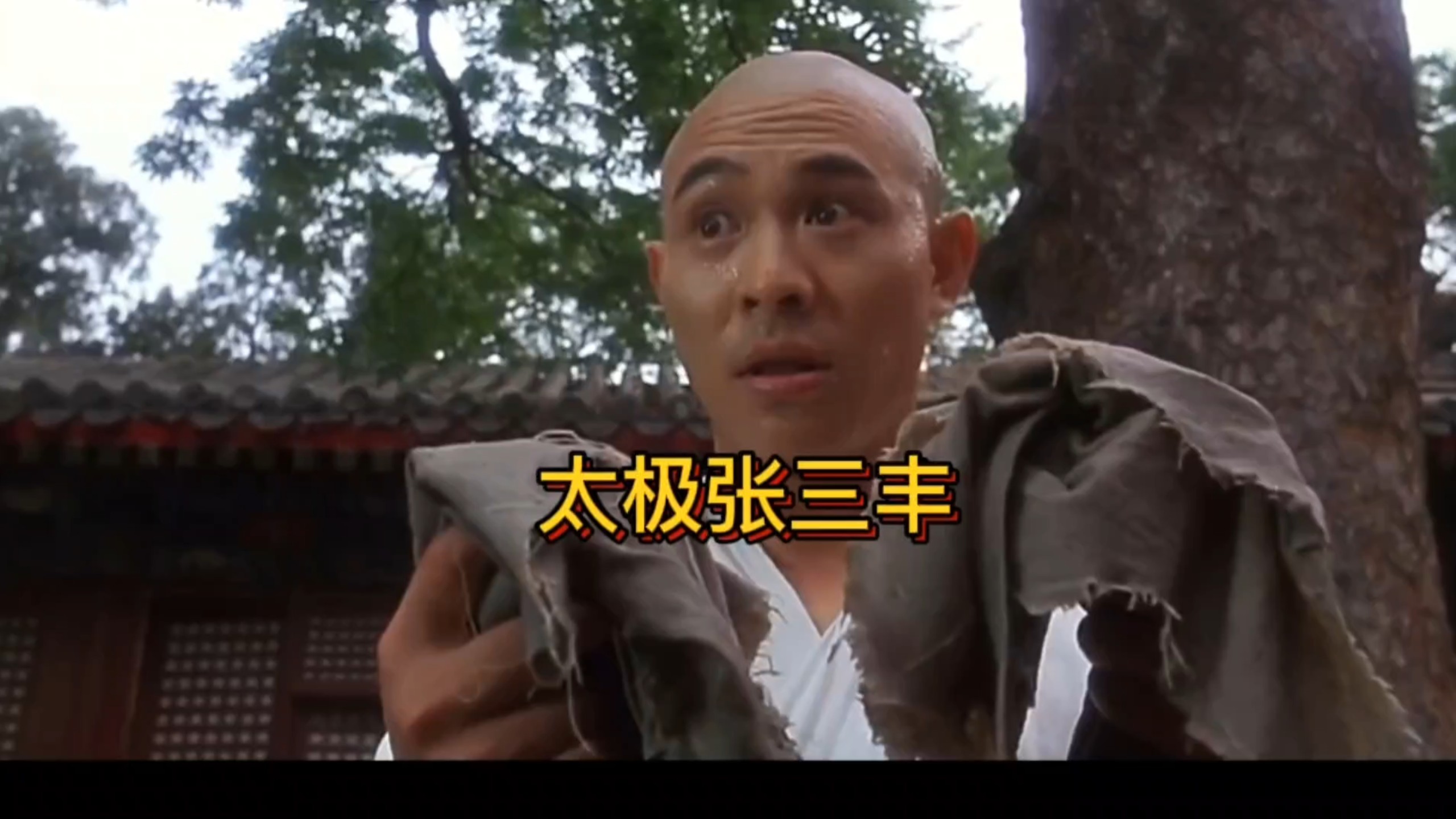 太极张三丰电影,太极张三丰电影演员表