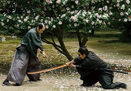 山茶花电影,美丽的山茶花电影高清下载