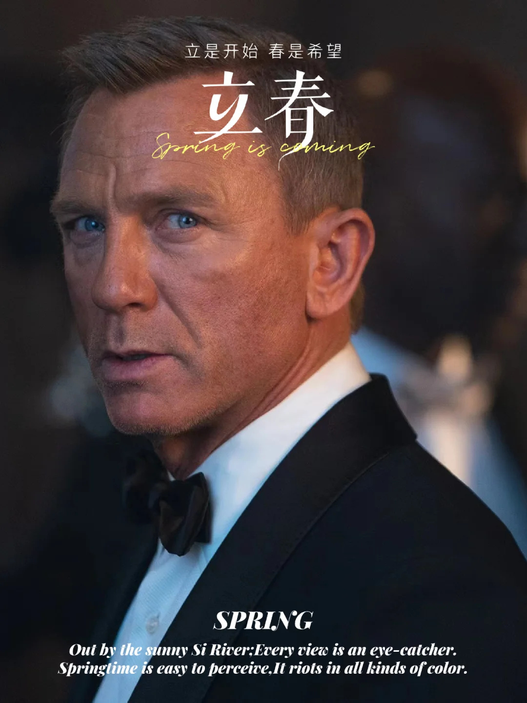 007:幽灵党电影,007幽灵党电影英语观看