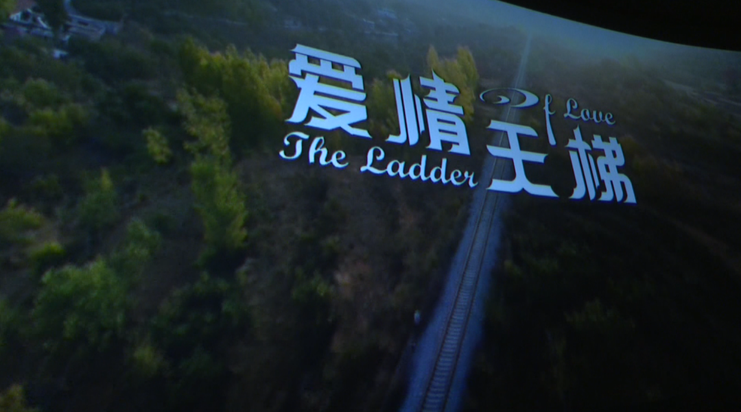 爱情天梯电影下载,爱情天梯电影完整版百度云