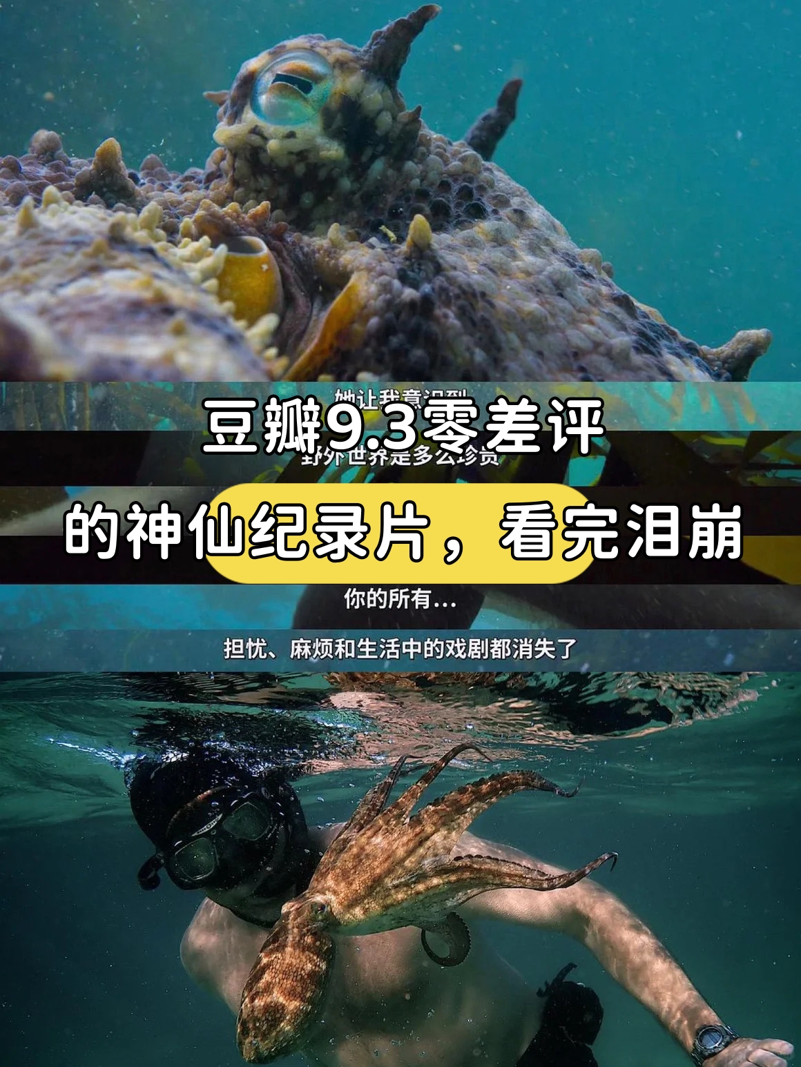 大章鱼电影免费观看,史前大章鱼电影在线观看