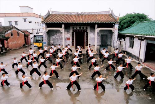 蔡李佛电影,蔡李佛电影完整版