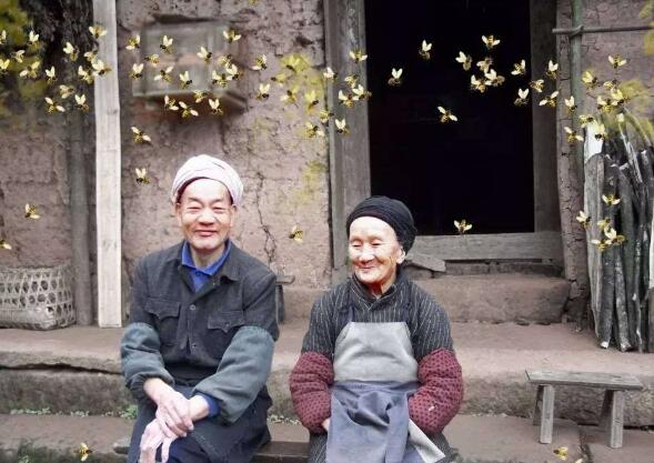 爱情天梯电影下载,爱情天梯电影迅雷下载 爱情天梯电影下载,爱情天梯电影迅雷下载