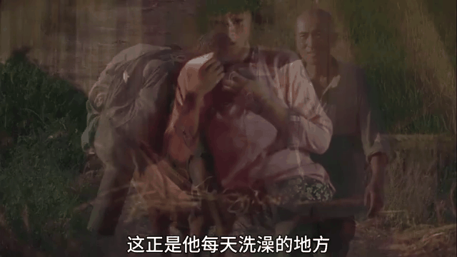 电影菊豆,电影菊豆天白最后怎么样了