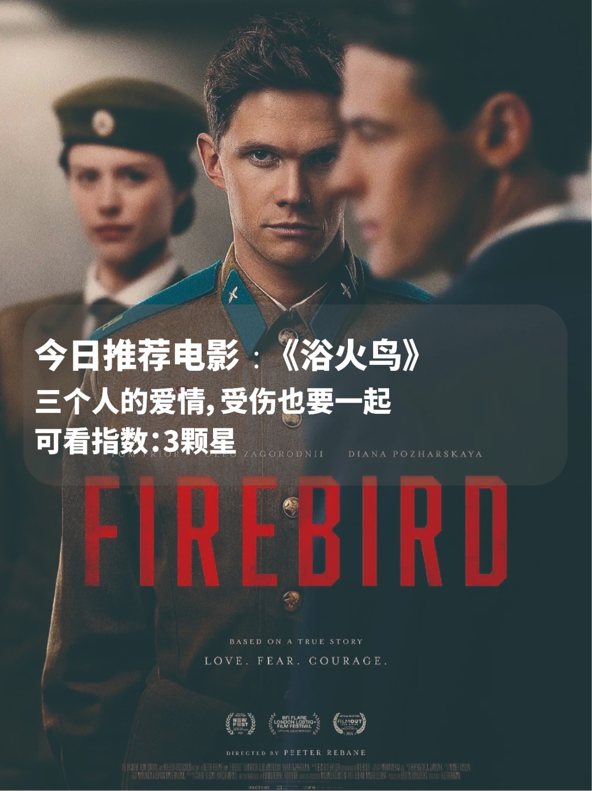 蜂鸟电影,蜂鸟影院好看电影电视剧免费观看超前点播