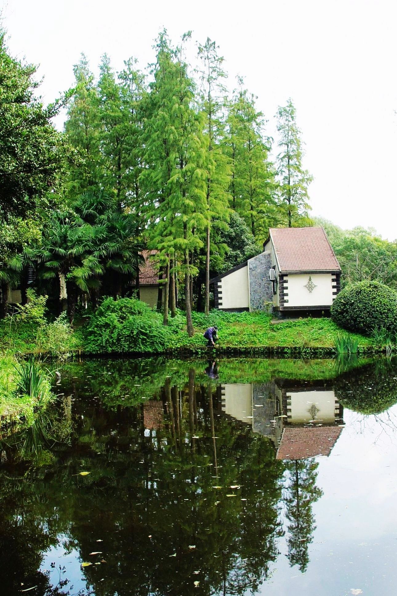 林中小屋电影,林中小屋电影观看