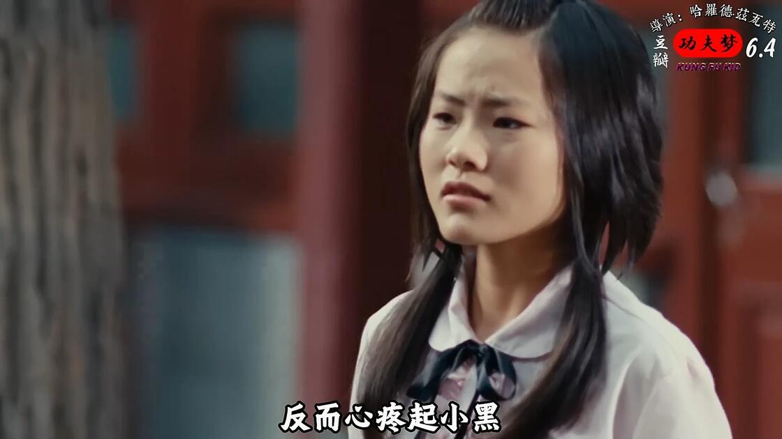 功夫梦电影下载,功夫梦电影海外完整版