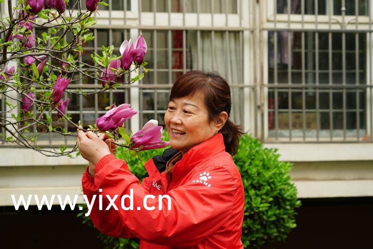 狼牙电影下载,狼牙电影下载百度云