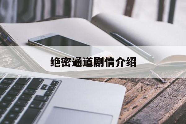 绝密通道剧情介绍,绝密通道电视剧全集免费观看全集